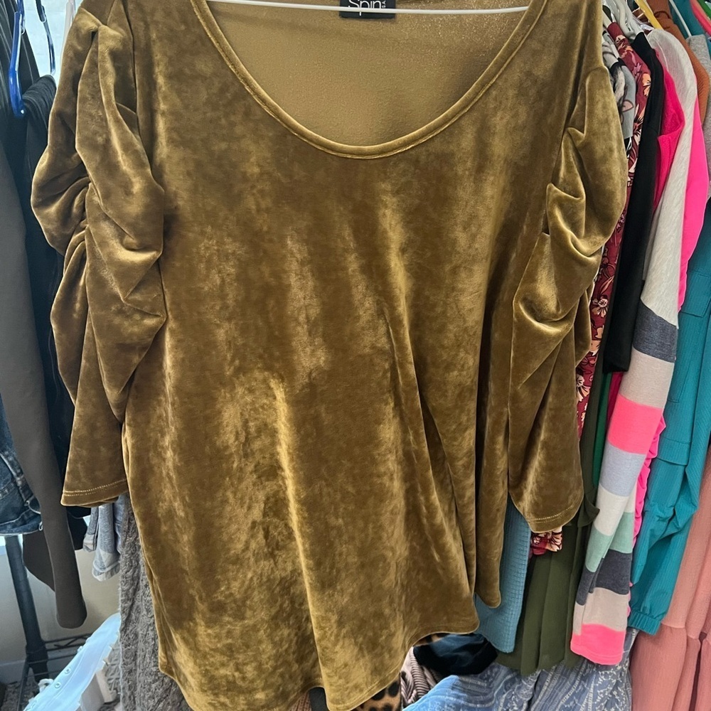 Ruched Sleeve Velvet Scoop Neck Blouse in Olive by